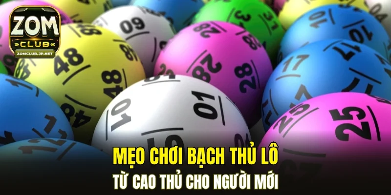 Mẹo chơi bạch thủ lô từ cao thủ cho người mới