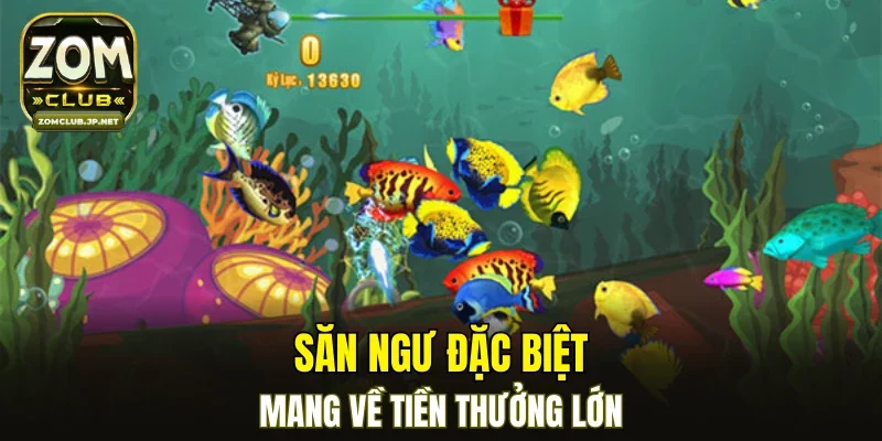 Săn ngư đặc biệt mang về tiền thưởng lớn